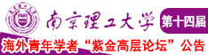 被日的啊啊啊南京理工大学第十四届海外青年学者紫金论坛诚邀海内外英才！